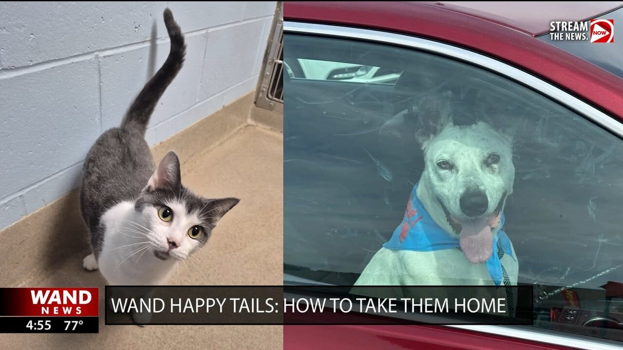 WAND's Happy Tails featuring Buttercup and Parker